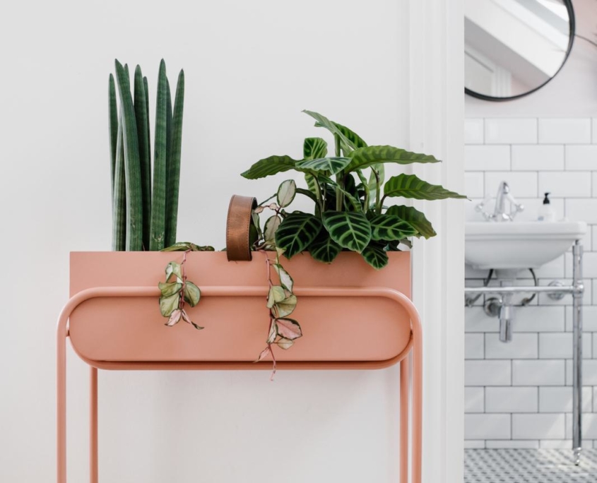 Pink metal table with green plants on top