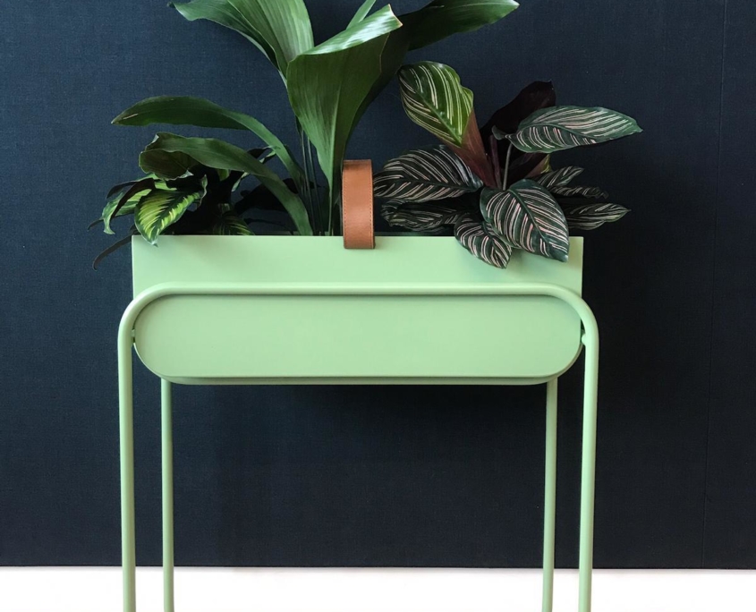Green metal table with green plants on top
